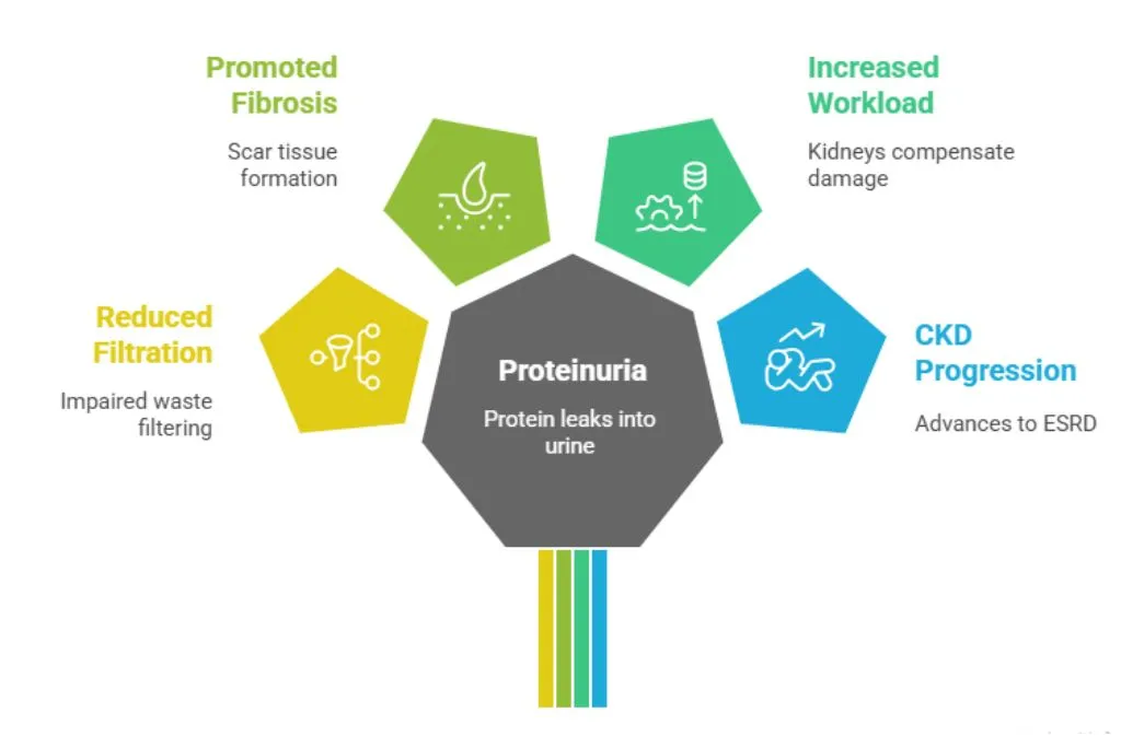 Modern Healthcare Facility